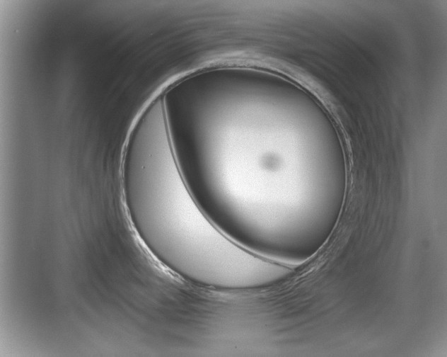 X0000076071392200609220942