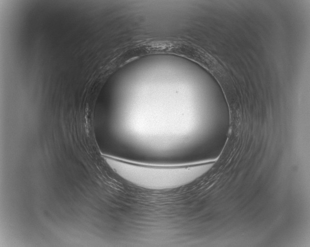 X0000076071394200609220941