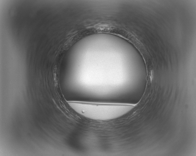 X0000076071396200609220941