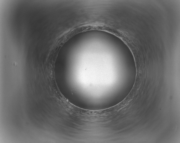 X0000076071398200609220941