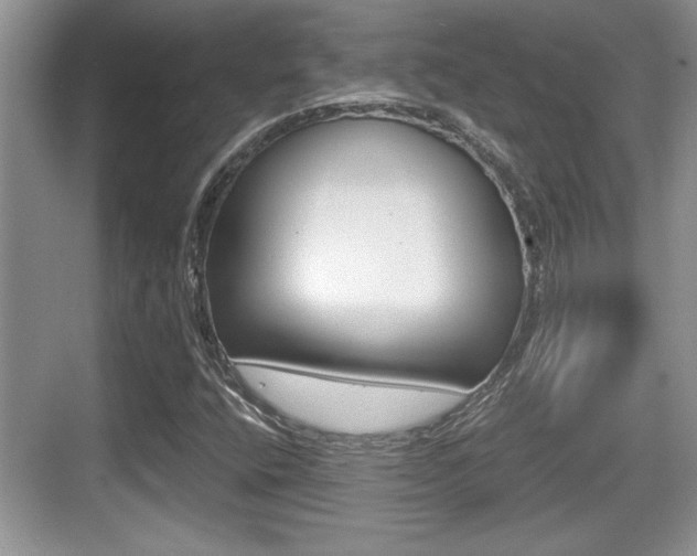 X0000076071400200609220941