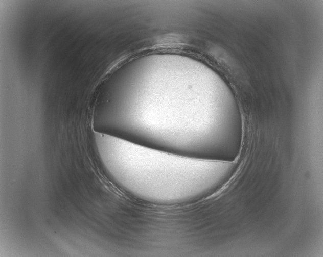 X0000076071401200609220941