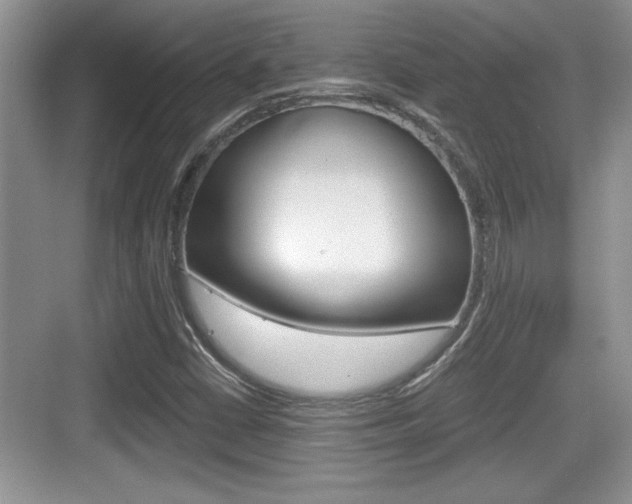 X0000076071402200609220941