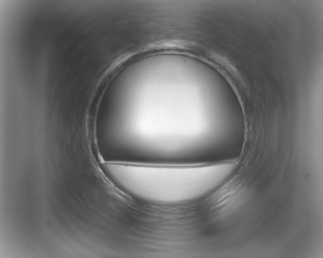 X0000076071404200609220941