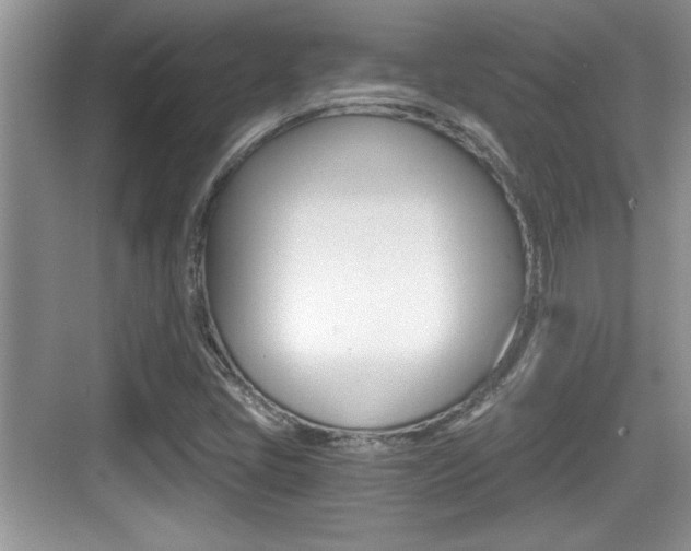 X0000076071405200609220941