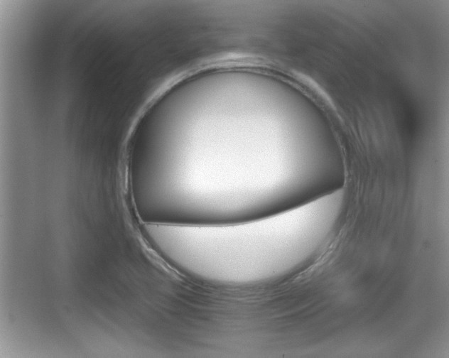 X0000076071413200609220941