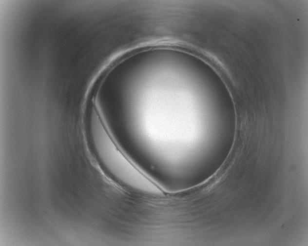 X0000076071414200609220941