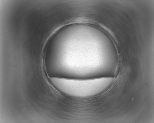 X0000076071415200609220941