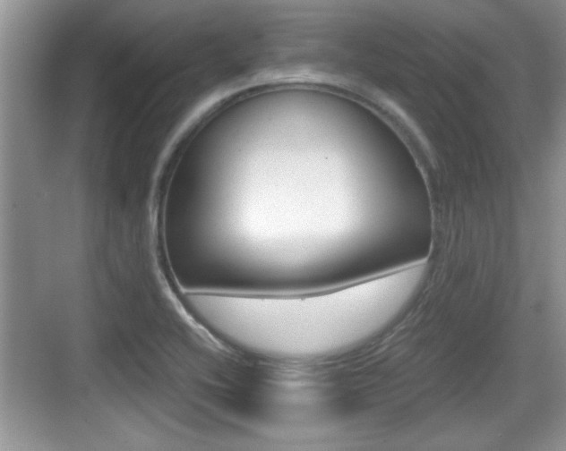 X0000076071416200609220941