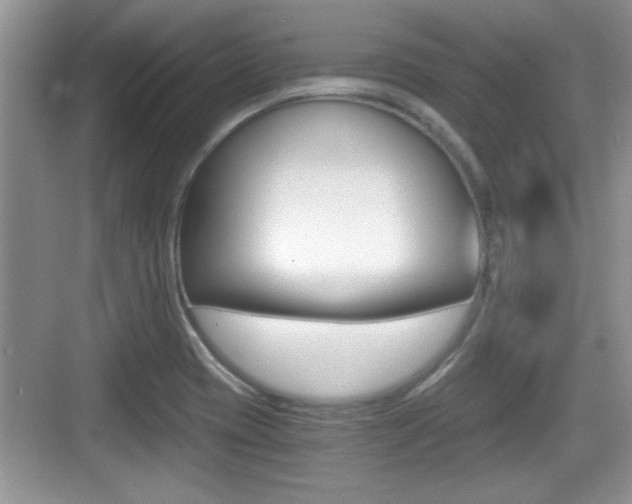 X0000076071417200609220941