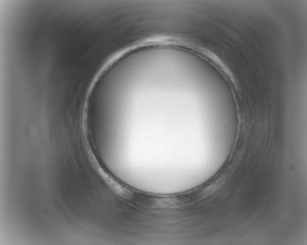 X0000076071421200609220941