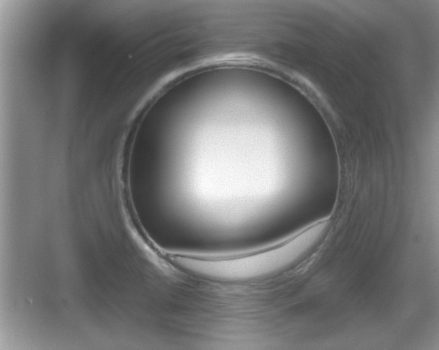 X0000076071422200609220941