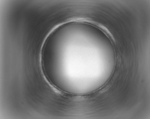 X0000076071424200609220942