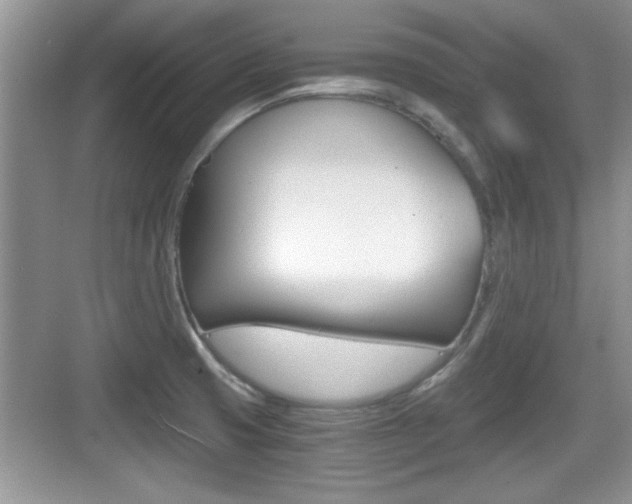 X0000076071425200609220942