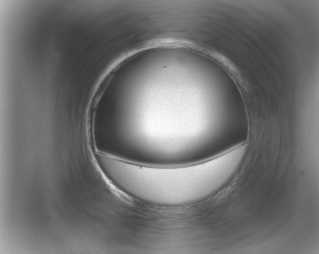 X0000076071430200609220942