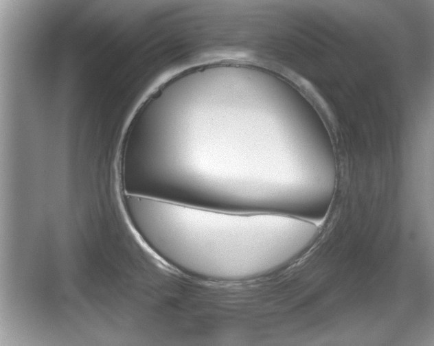 X0000076071432200609220942