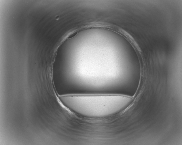 X0000076071433200609220942