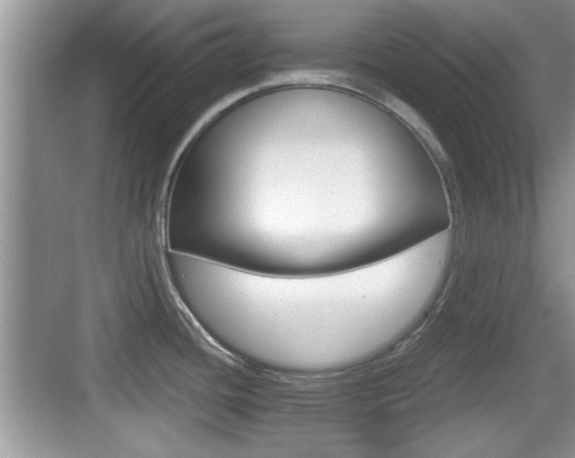 X0000076071436200609220942
