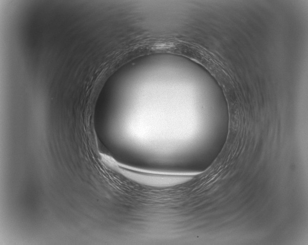 X0000076071441200609220941