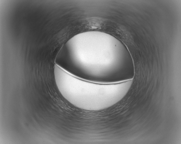 X0000076071442200609220941