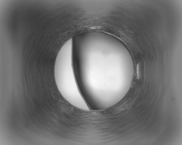 X0000076071443200609220941