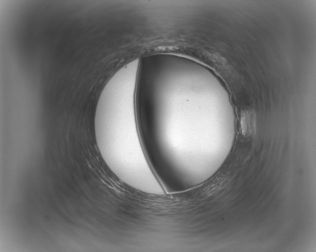 X0000076071444200609220941