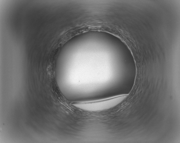 X0000076071445200609220941