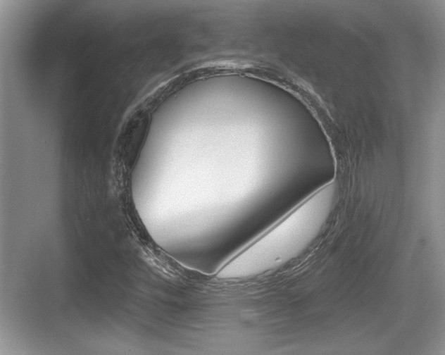 X0000076071448200609220941