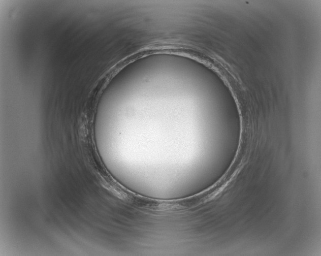 X0000076071449200609220941