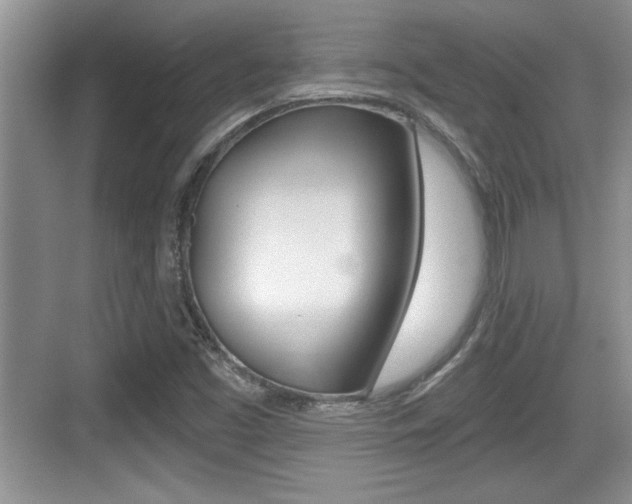 X0000076071453200609220941