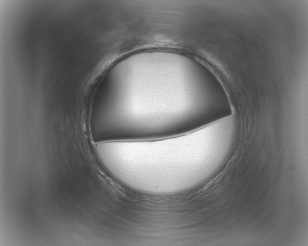 X0000076071455200609220941