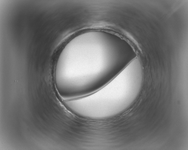 X0000076071456200609220941