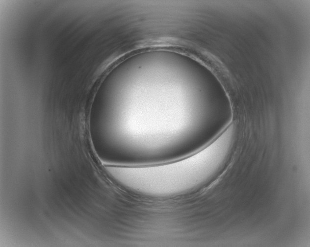 X0000076071457200609220941