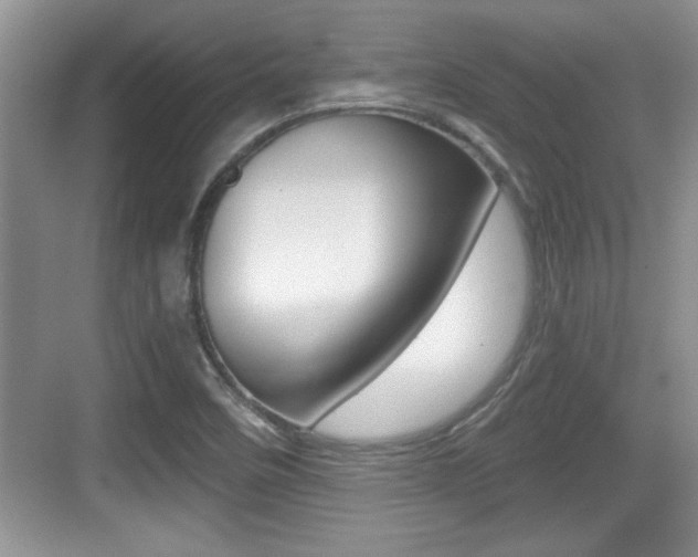 X0000076071458200609220941