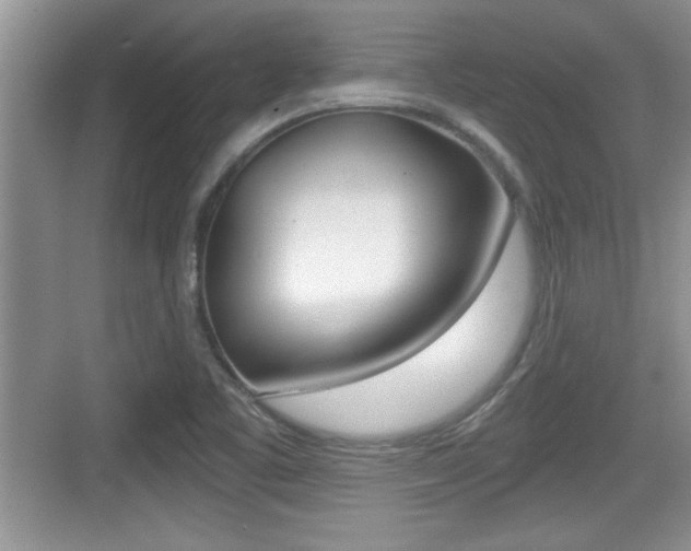 X0000076071461200609220941