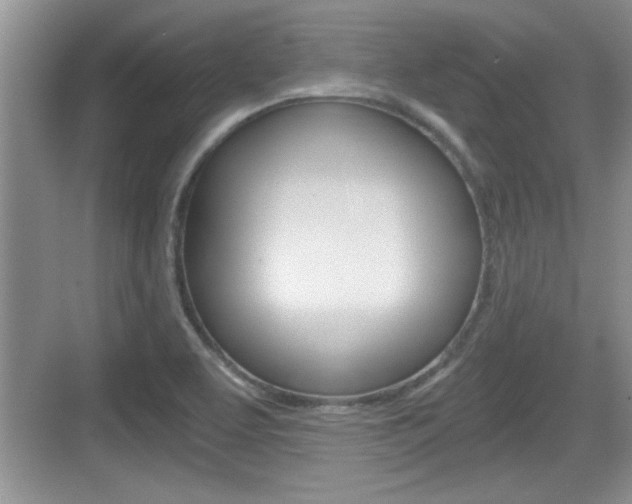 X0000076071463200609220941