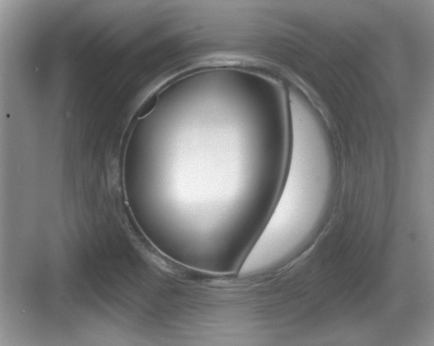 X0000076071465200609220941