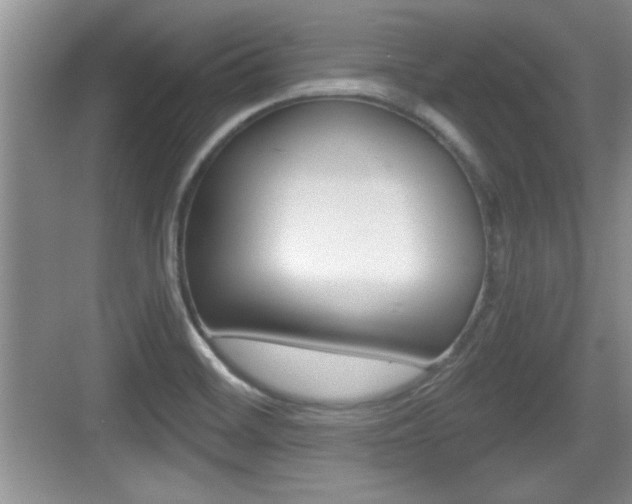 X0000076071468200609220941