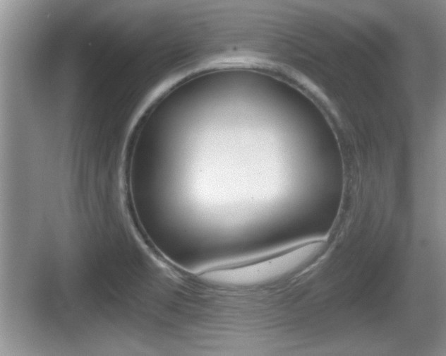 X0000076071469200609220941