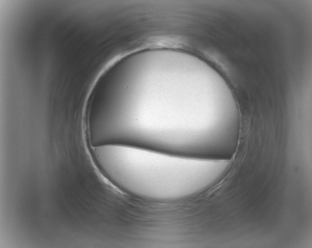 X0000076071471200609220940