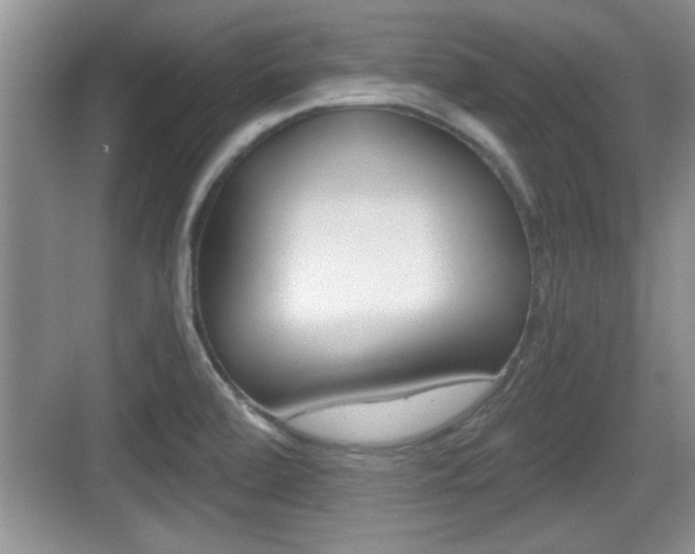 X0000076071472200609220940