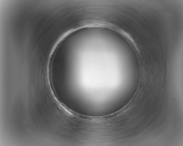 X0000076071480200609220940