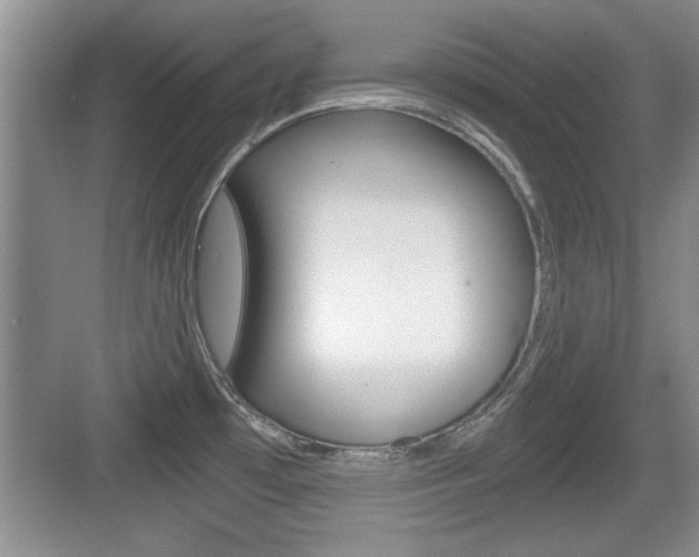 X0000076071481200609220940