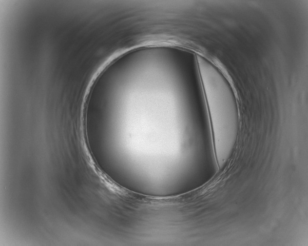X0000076071488200609220940