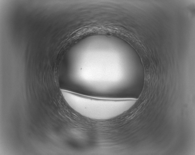 X0000076071490200609220939