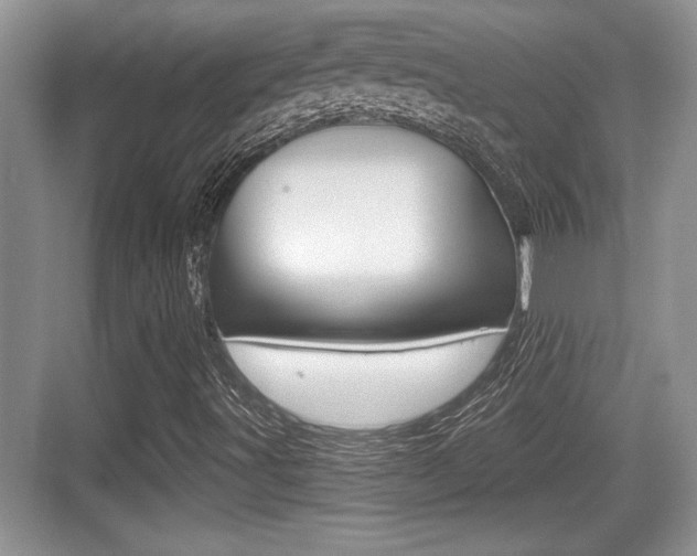 X0000076071491200609220939