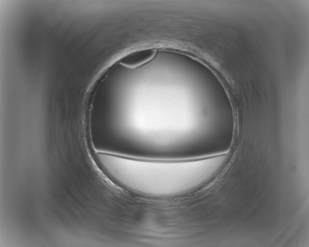 X0000076071500200609220940