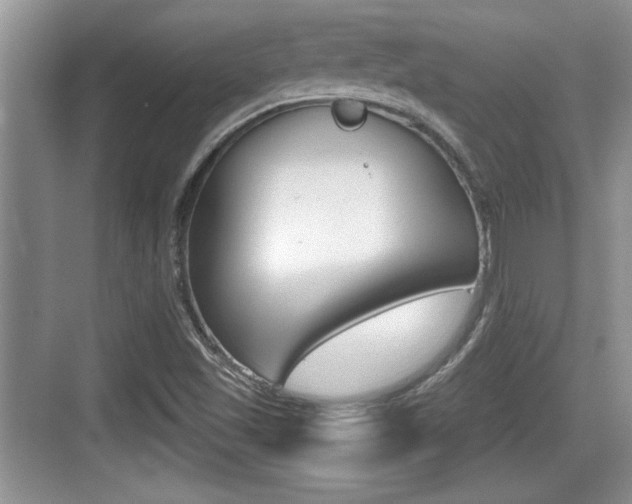 X0000076071501200609220940