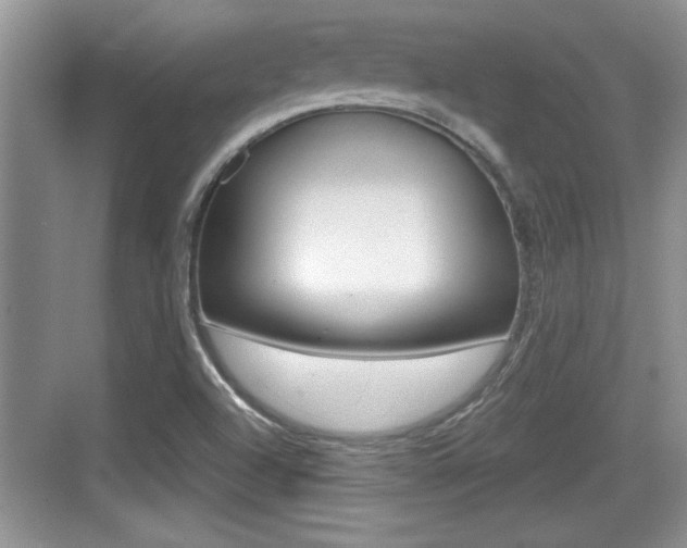 X0000076071504200609220940