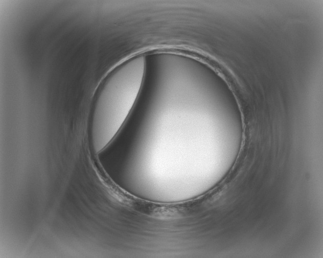 X0000076071505200609220940